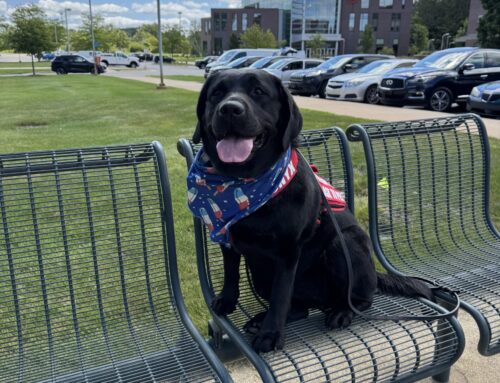 Davenport University celebrates Take Your Dog to Work Day with therapy dog Onyx